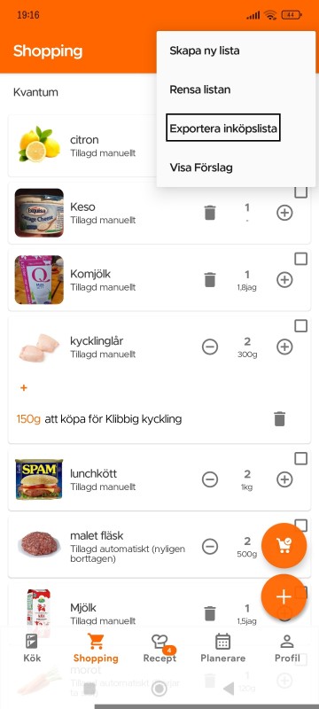 Export Shopping List option in overflow menu